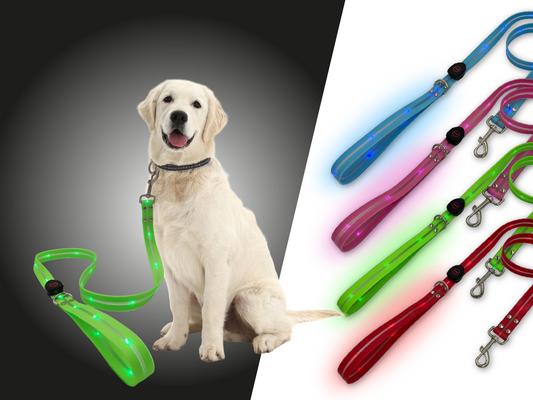 Guinzaglio Led per Cani - Azzurro