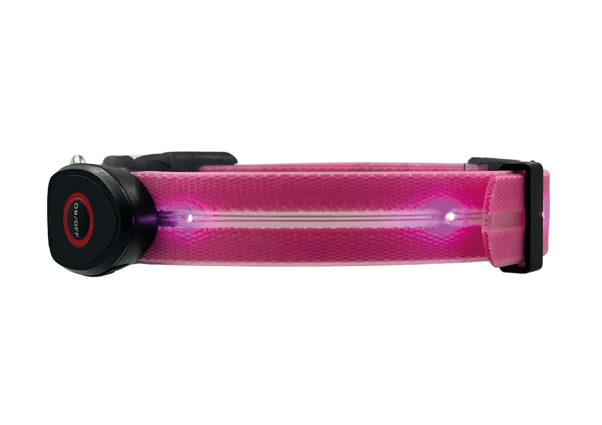 Collare Led per Cani - Rosa