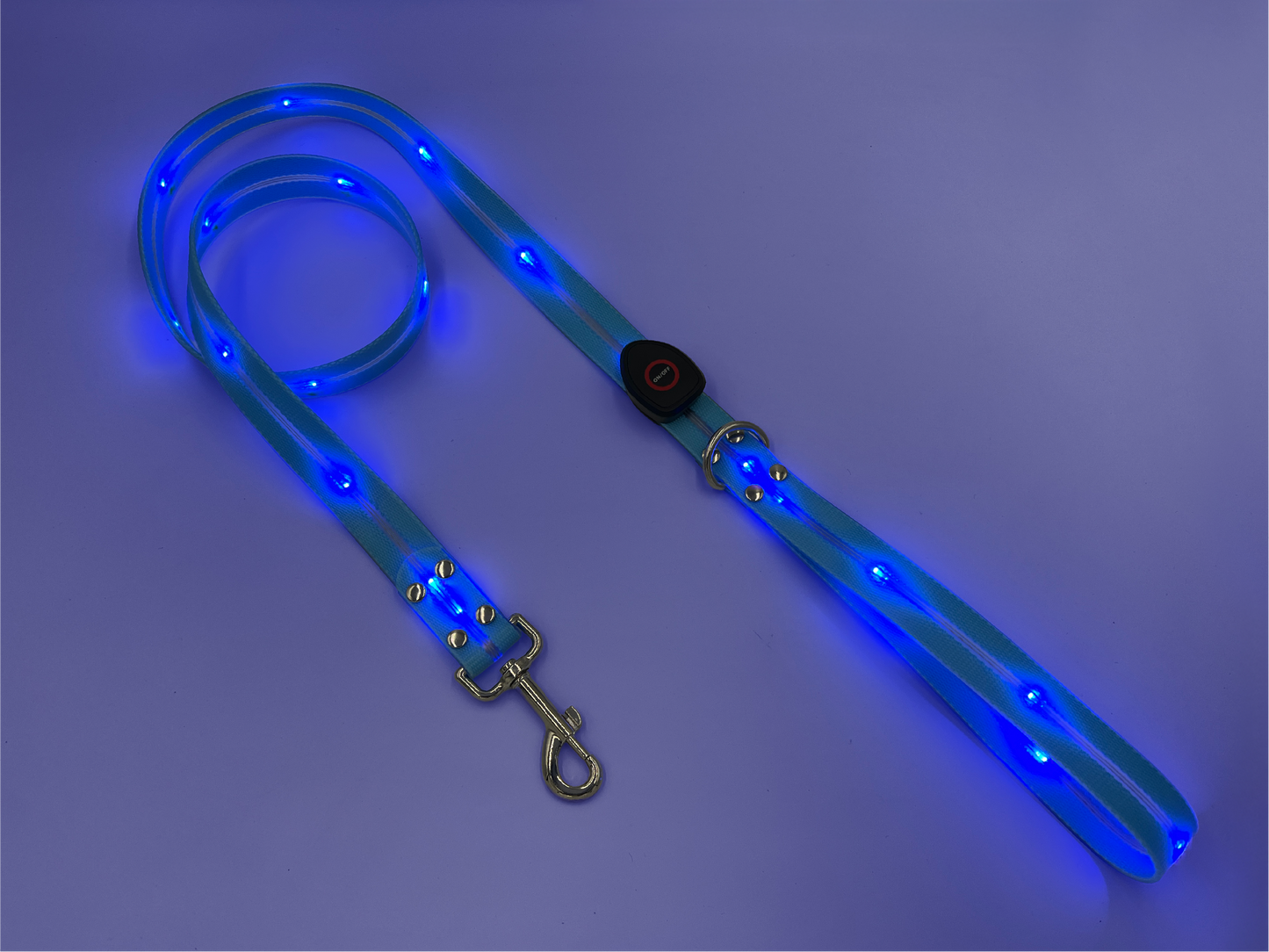 Guinzaglio Led per Cani - Azzurro
