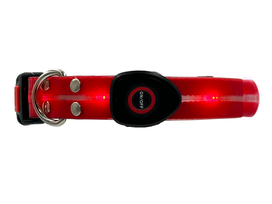 Collare Led per Cani - Rosso