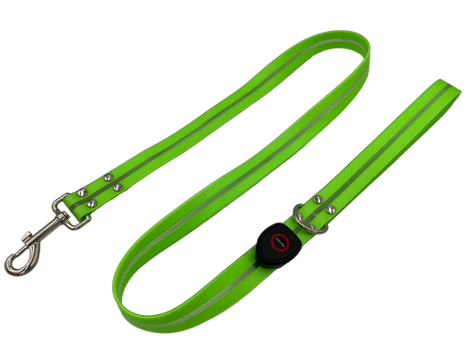 Guinzaglio Led per Cani - Verde