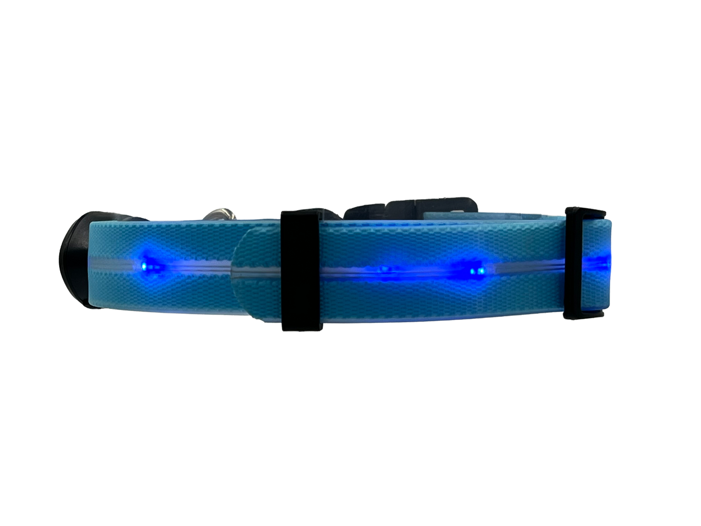 Collare Led per Cani - Azzurro