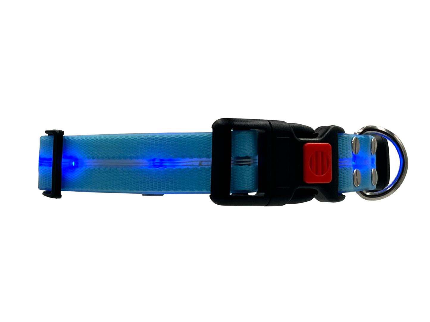 Collare Led per Cani - Azzurro