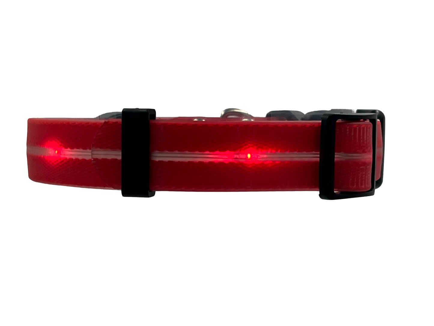 Collare Led per Cani - Rosso