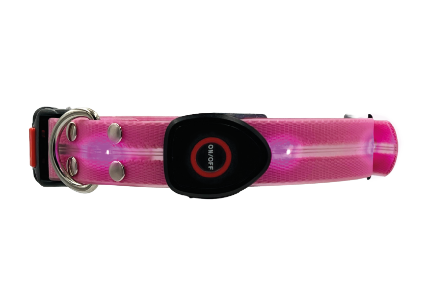 Collare Led per Cani - Rosa