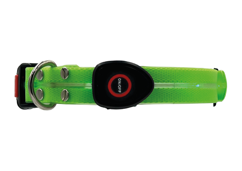 Collare Led per Cani - Verde