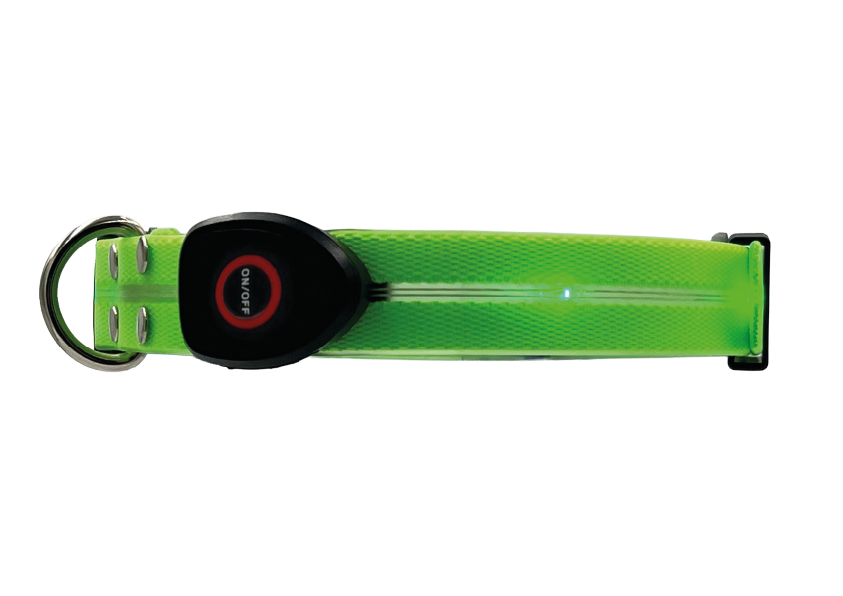 Collare Led per Cani - Verde