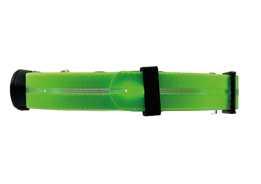Collare Led per Cani - Verde