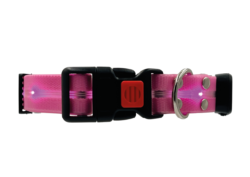 Collare Led per Cani - Rosa