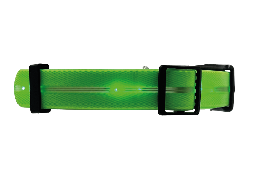 Collare Led per Cani - Verde