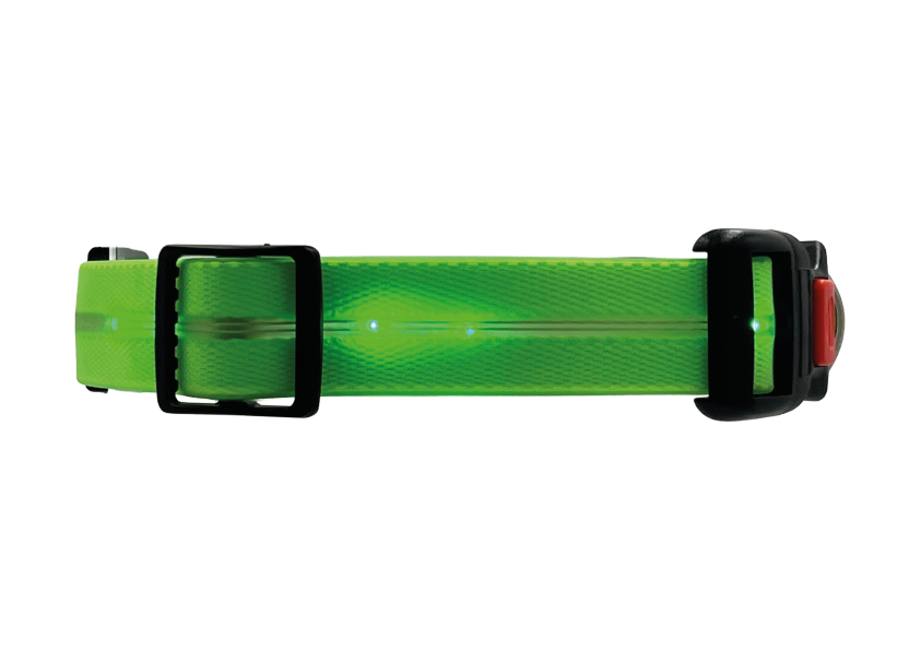 Collare Led per Cani - Verde