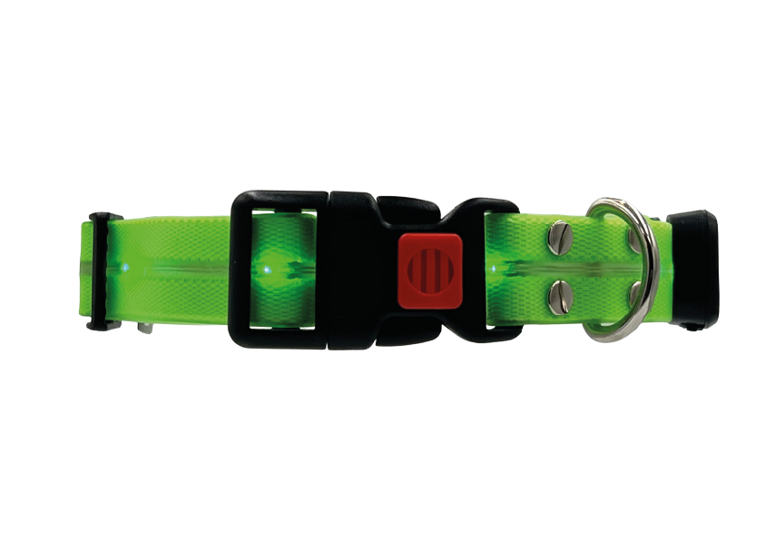 Collare Led per Cani - Verde