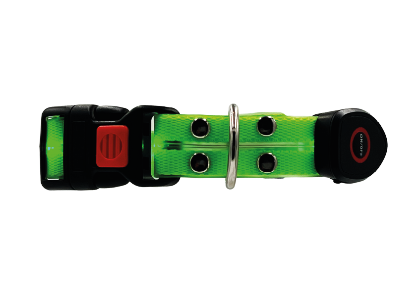 Collare Led per Cani - Verde