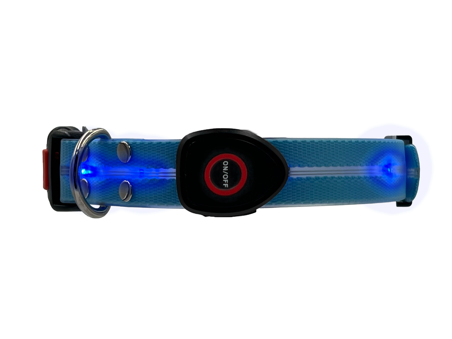 Collare Led per Cani - Azzurro