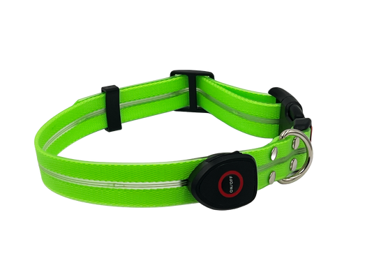 Collare Led per Cani - Verde